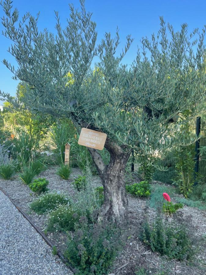 Vila Nid De Reves Jacuzzi En Provence Châteaurenard Exteriér fotografie