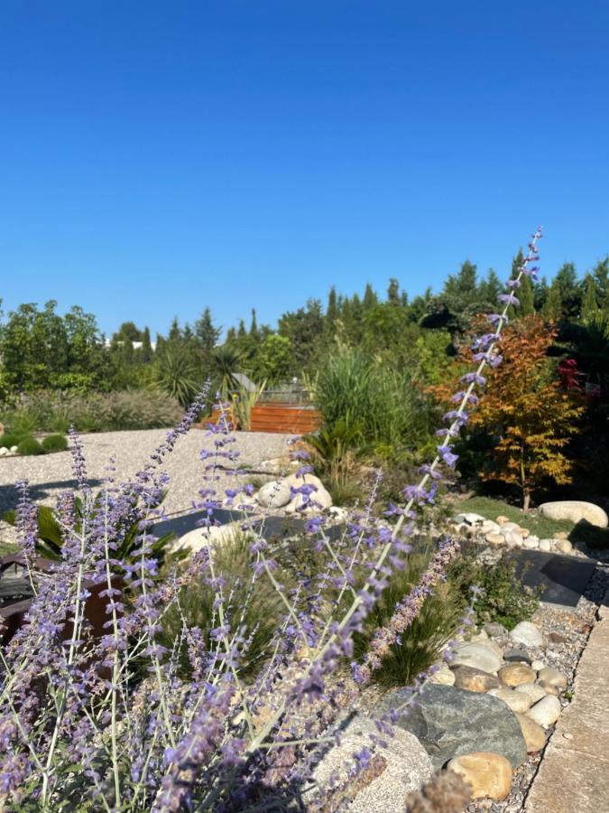 Vila Nid De Reves Jacuzzi En Provence Châteaurenard Exteriér fotografie